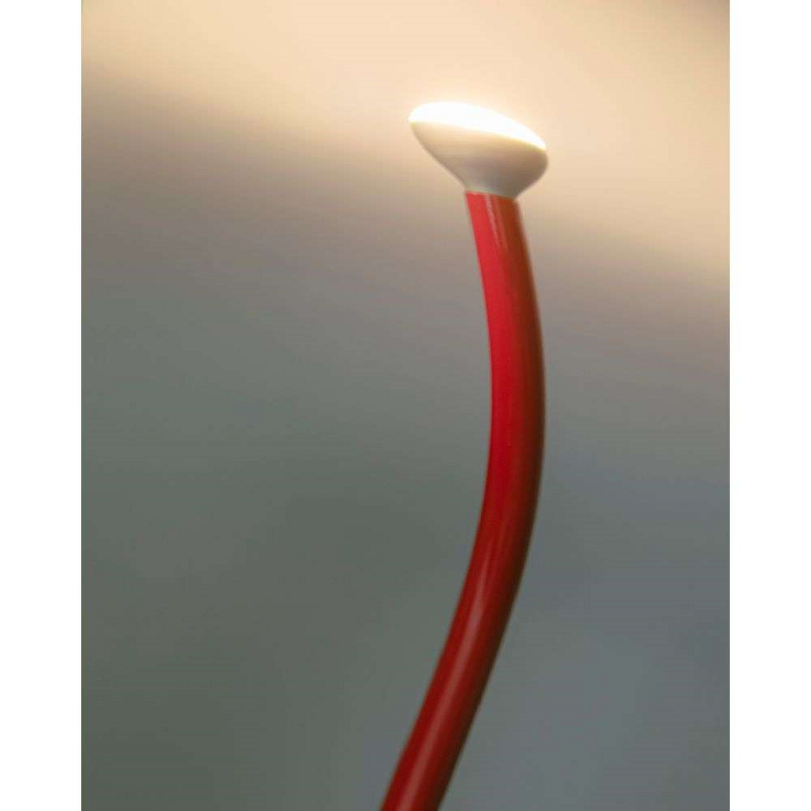 Luminator Lattiavalaisin Red - Flos