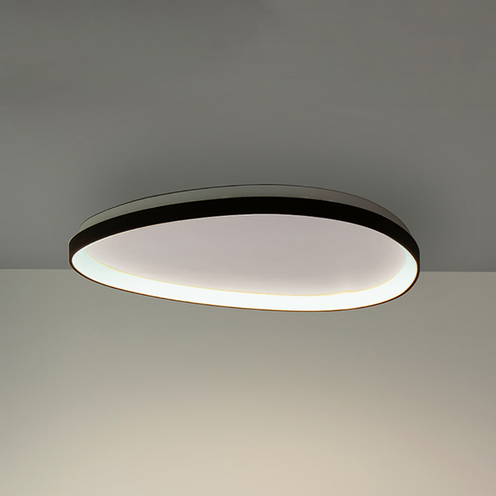 Plafonieră LED IDEAL LUX Gemini negru 81 3000 K DALI/PUSH - Camera de zi / sufragerie - Modern - Metal