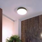 Menkar LED ceiling light, silver