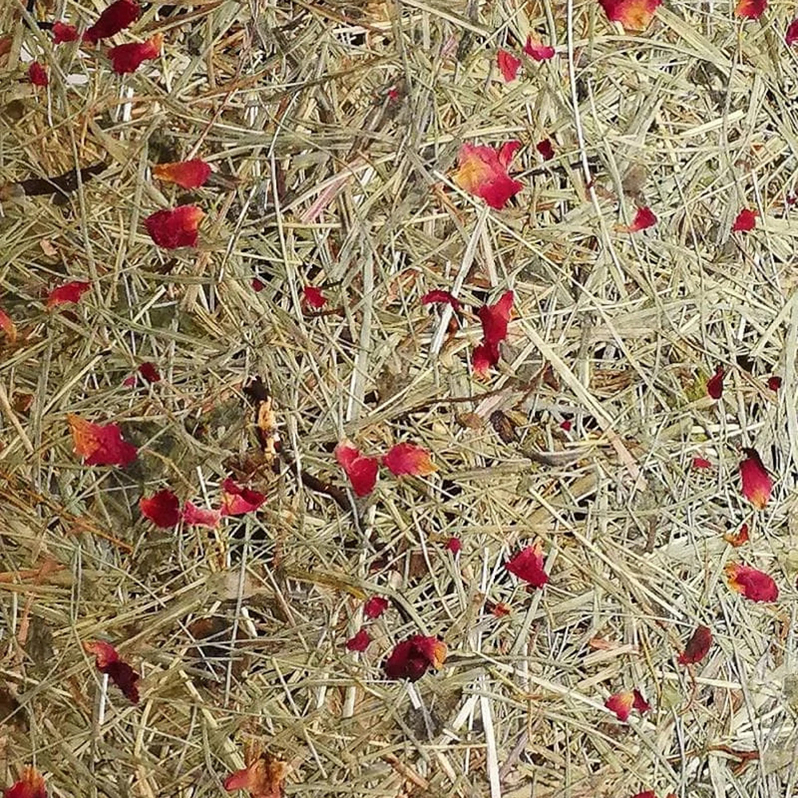 ALMUT 2610 põrandavalgusti, heina, punaste roosi kroonlehtedega