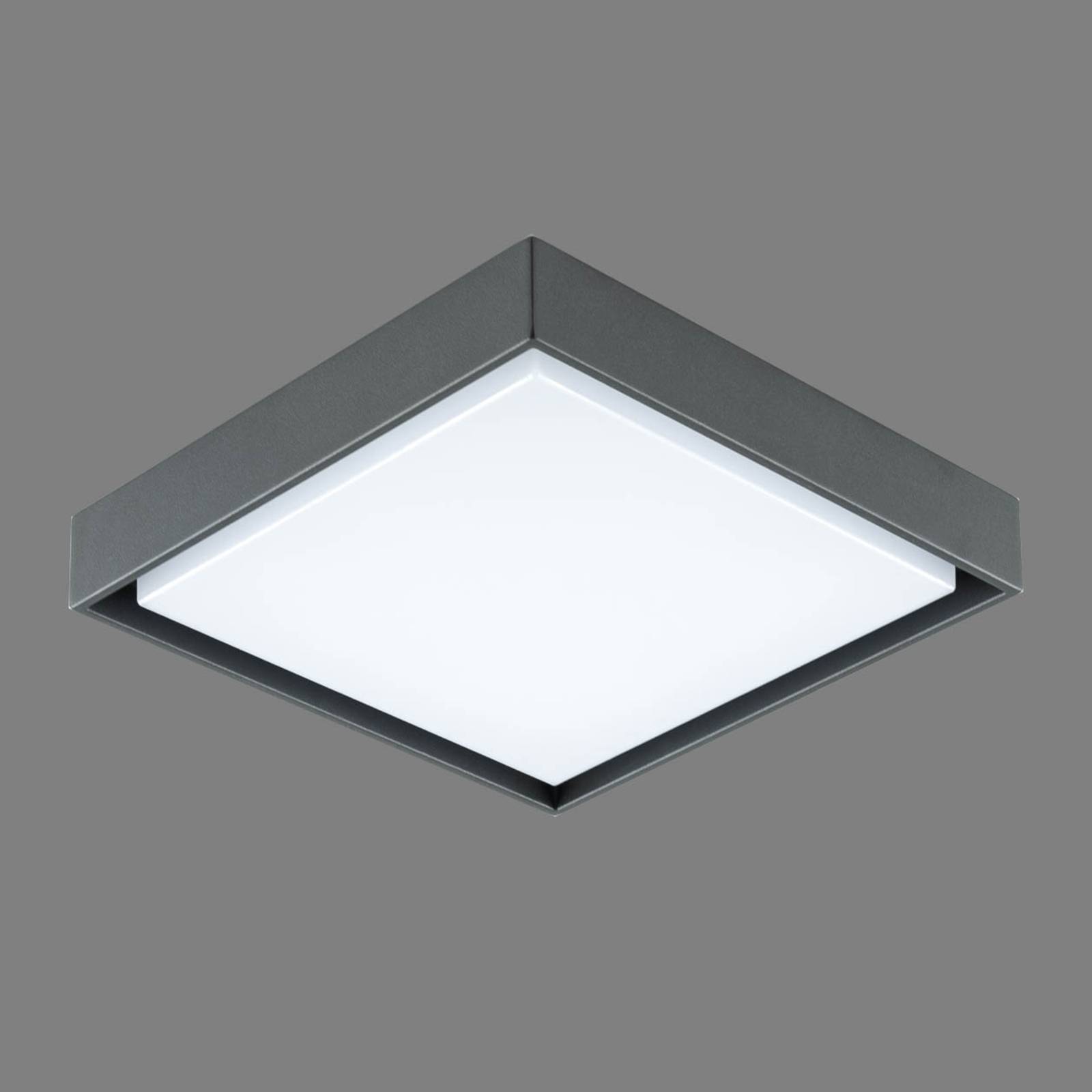 EVN Tectum LED-utomhustaklampa, kantig, 110 grader