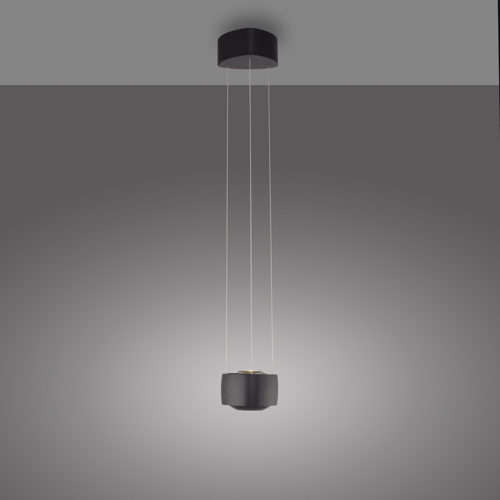 Lámpara colgante LED Paul Neuhaus Q-Stretto, negra, Ø 14,5 cm