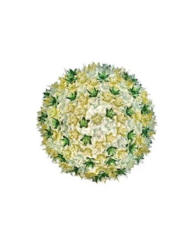 Bloom C1 Applique Murale/Plafonnier Menthe - Kartell