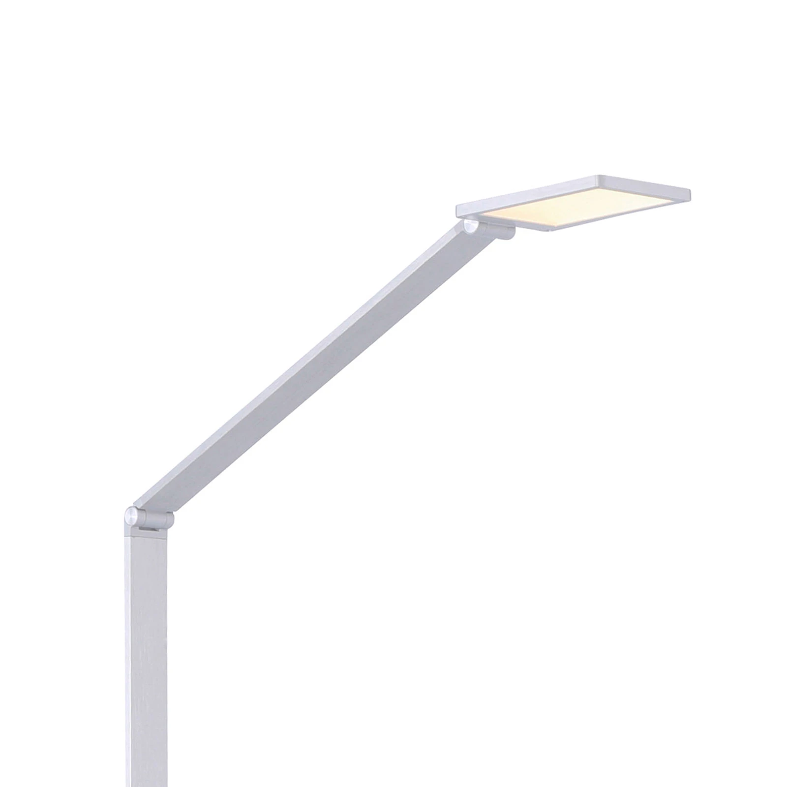 Paul Neuhaus Q-HANNES LED-golvlampa
