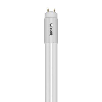 Radium LED Star tubo G13 T8 20W 3100lm 6.500K EVG