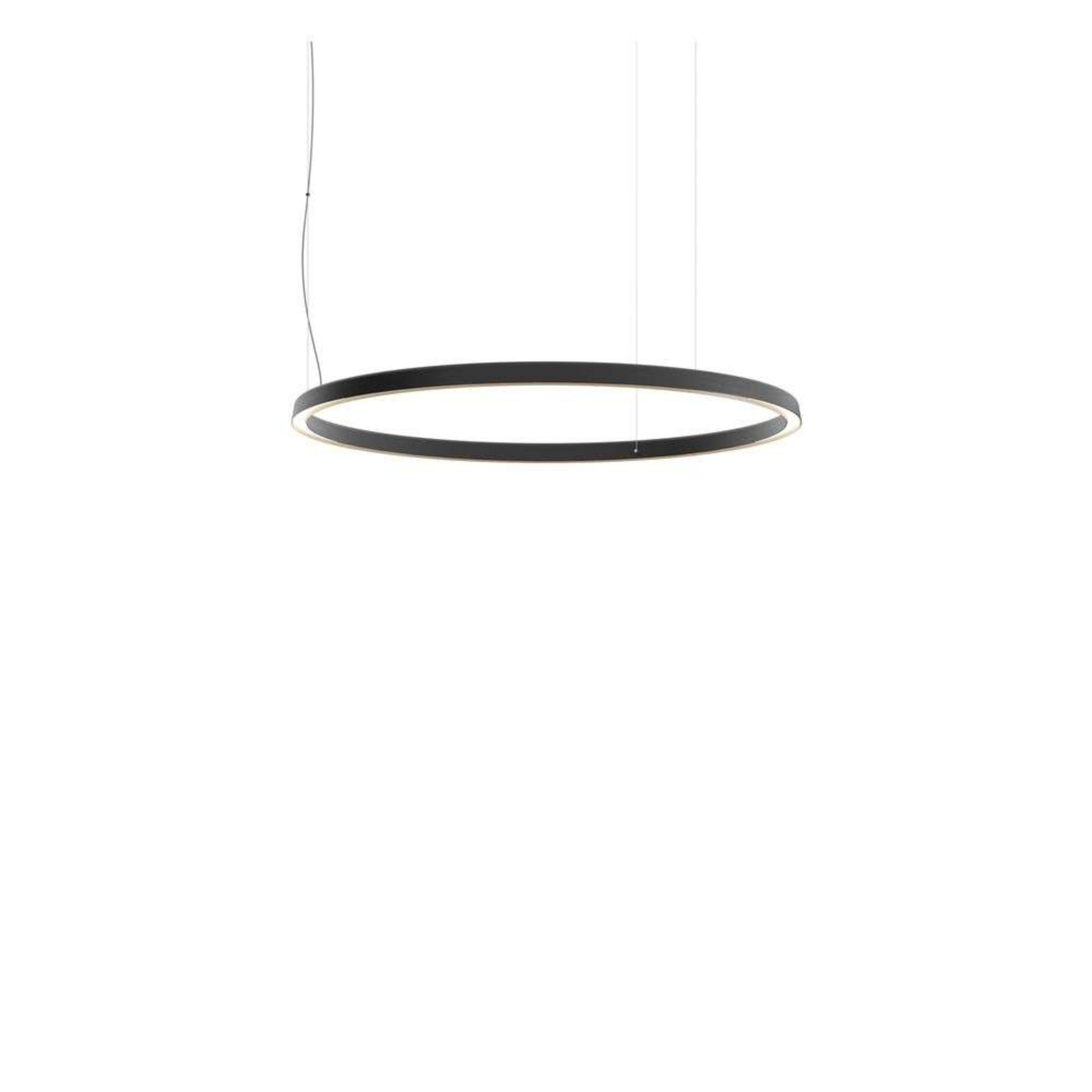 Compendium Circle LED Suspension Ø110 Black - Luceplan