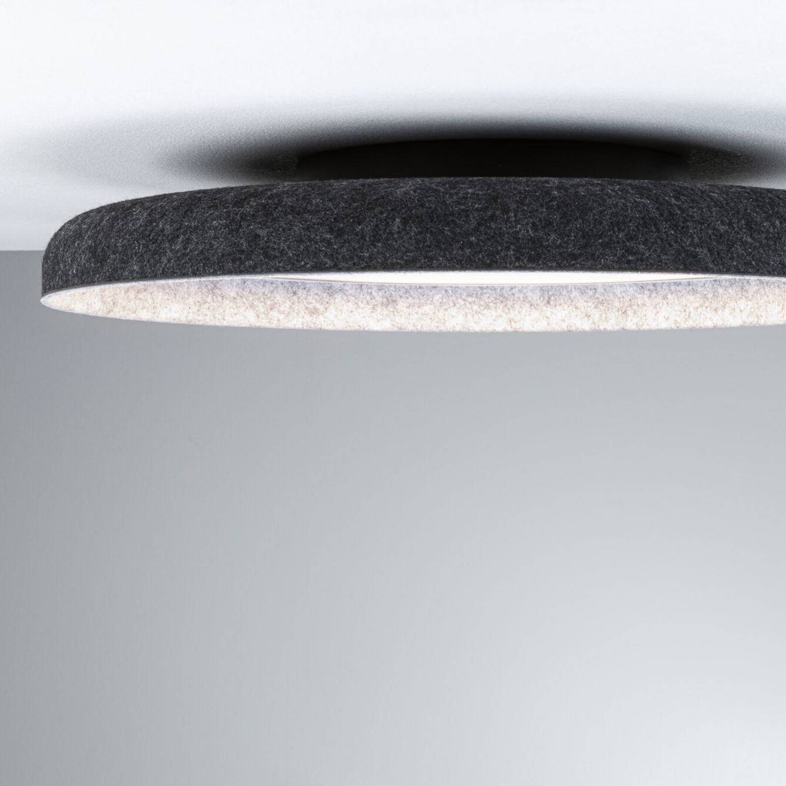 Stropné svietidlo Paulmann LED Zarina, antracit, plsť, 3-stupňové