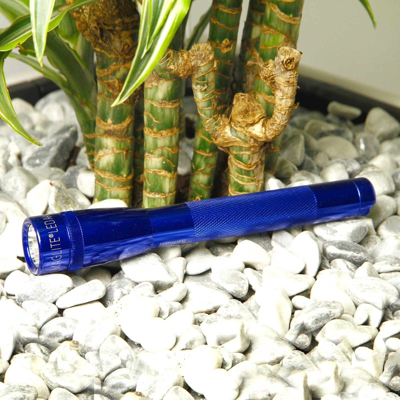 Blue LED torch Mini-Maglite