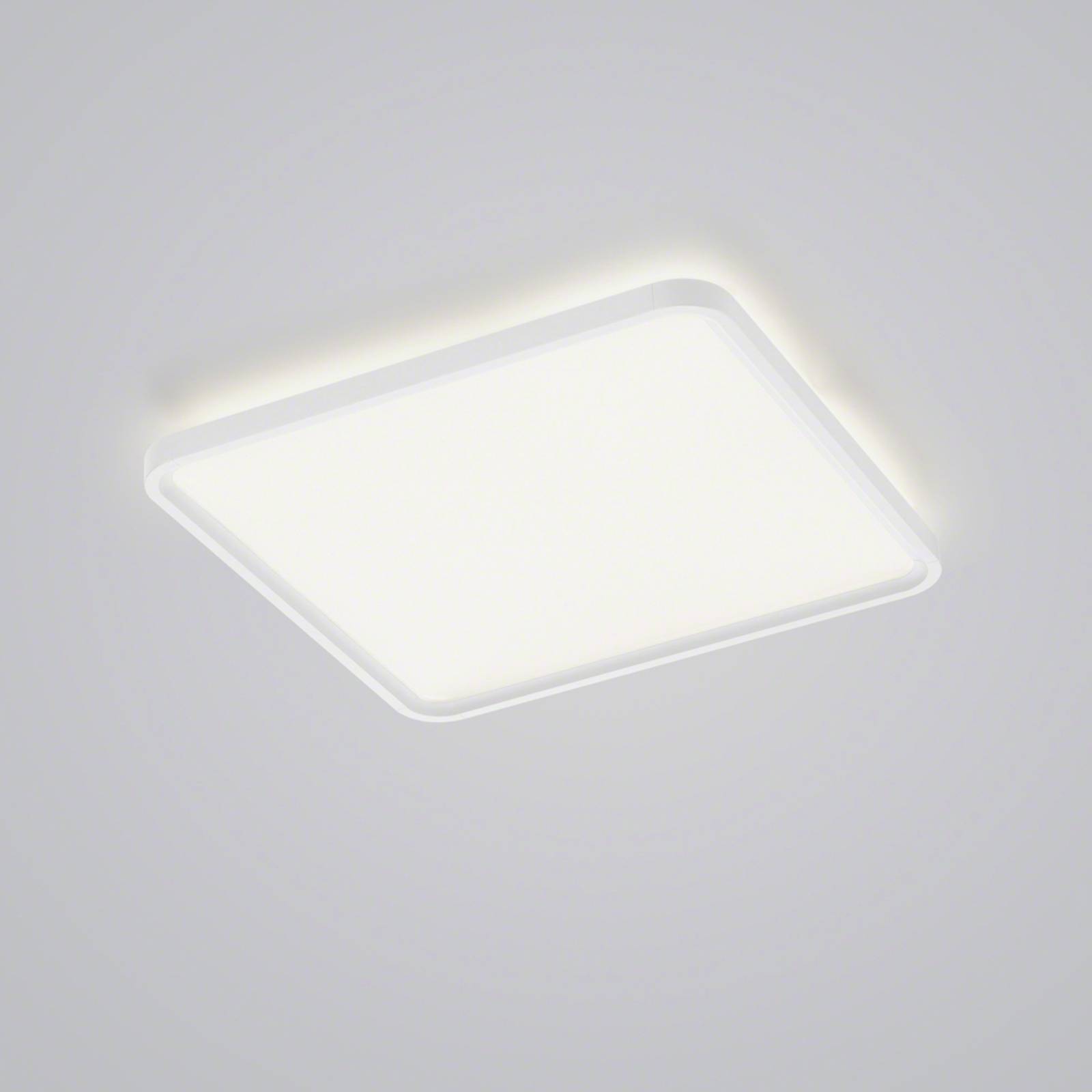 Helestra Vesp LED-panel backlight 61x61cm hvid
