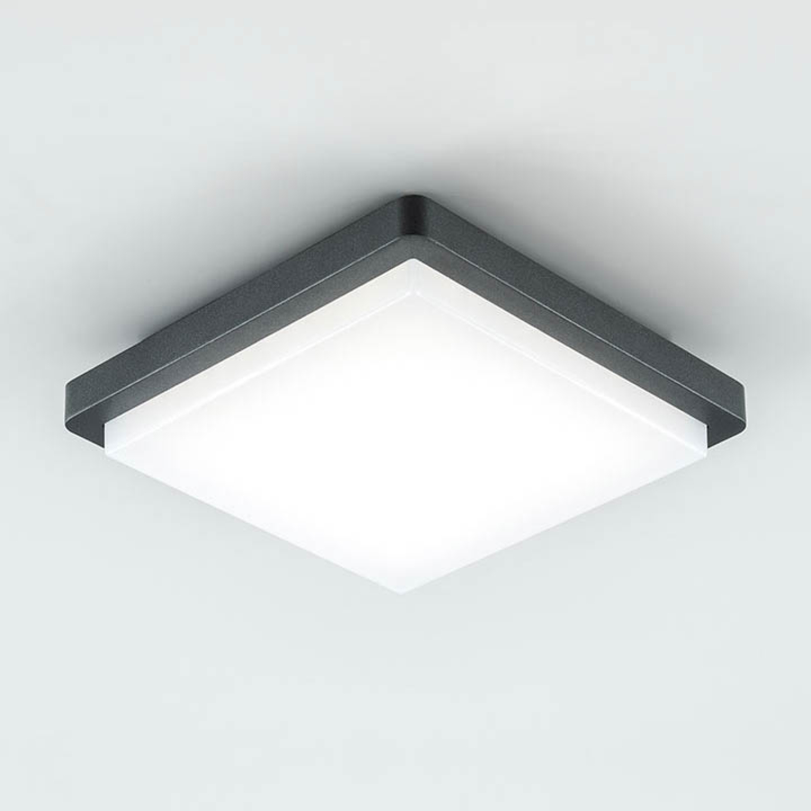 EVN Tectum LED-utomhustaklampa, kantig, 150 grader