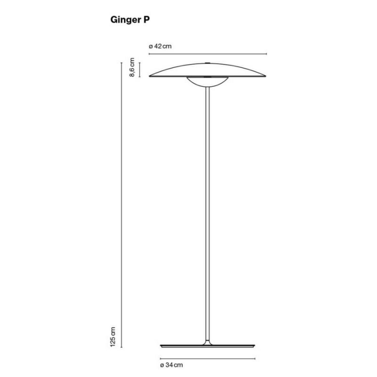 Ginger P Floor Lamp Wenge - Marset