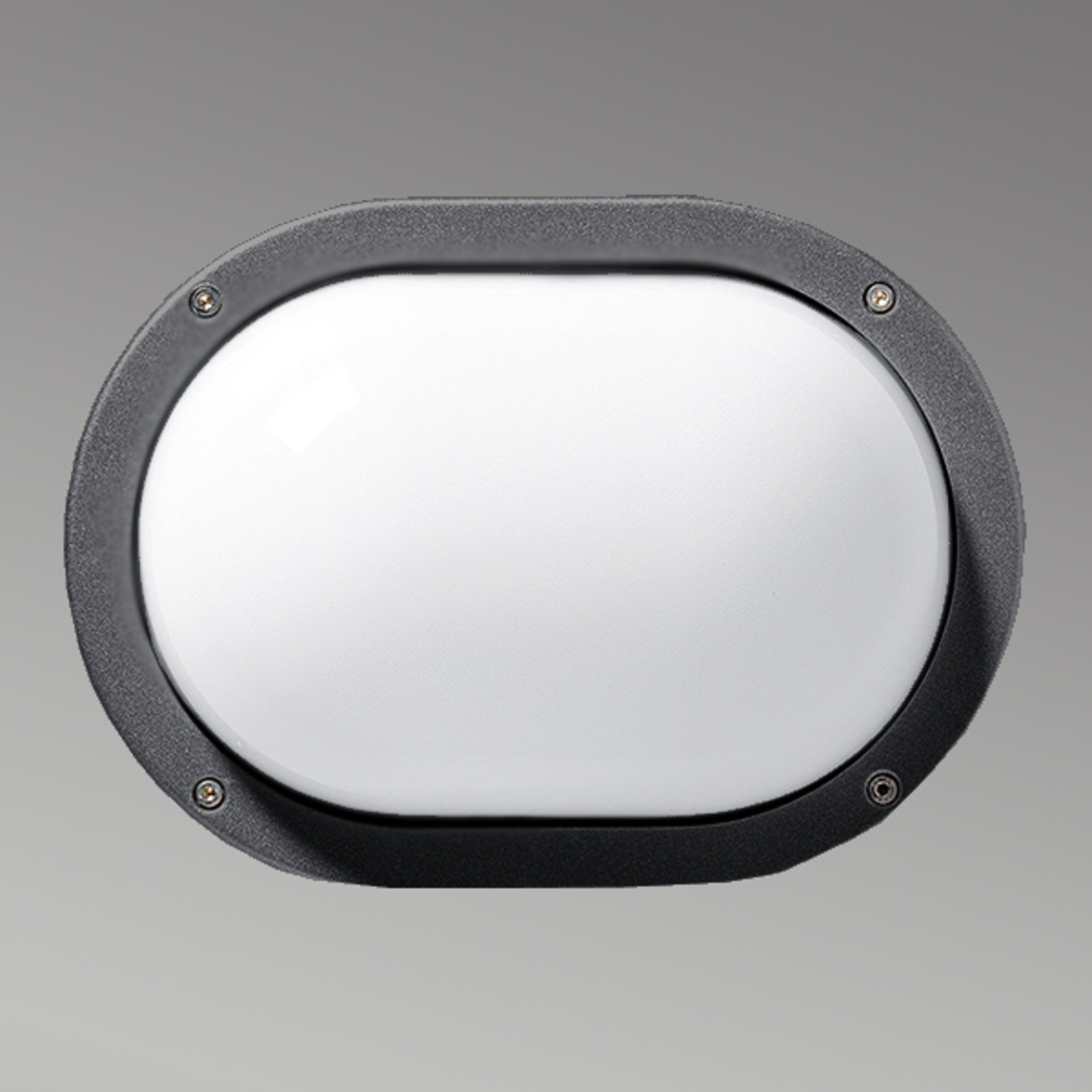 prisma Applique d&#39;extérieur pratique EKO anthracite
