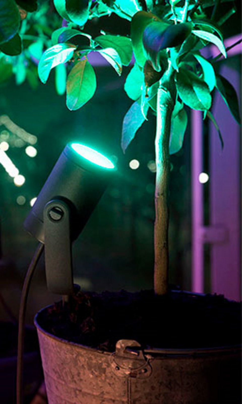 Lily Spike Spoturi Exterior 3x8W White/Color Amb. Antracit - Philips Hue