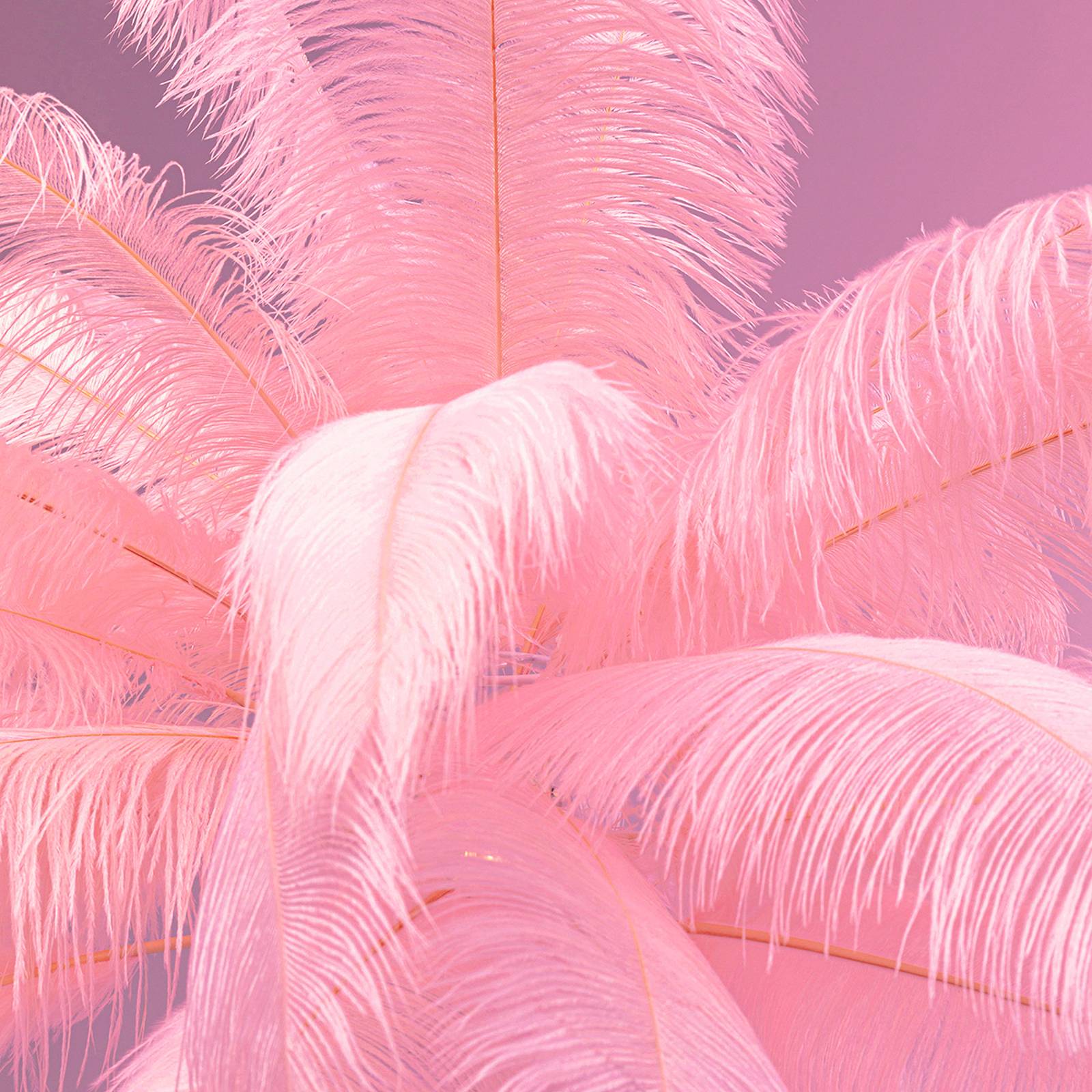 KARE Feather Palm gulvlampe med fjer pink