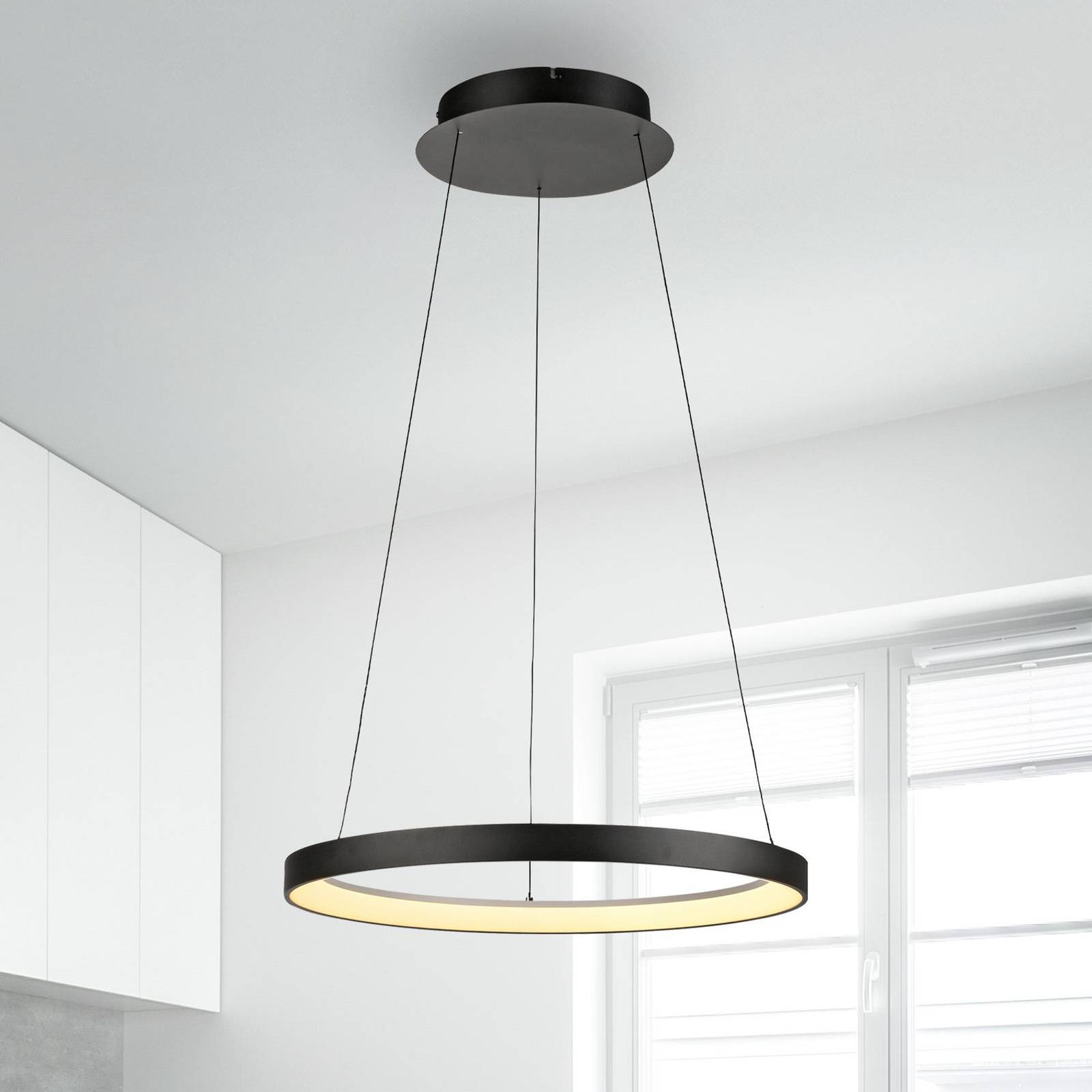 Paul Neuhaus Suspension LED Hoop noir Ø 57 cm. Fer