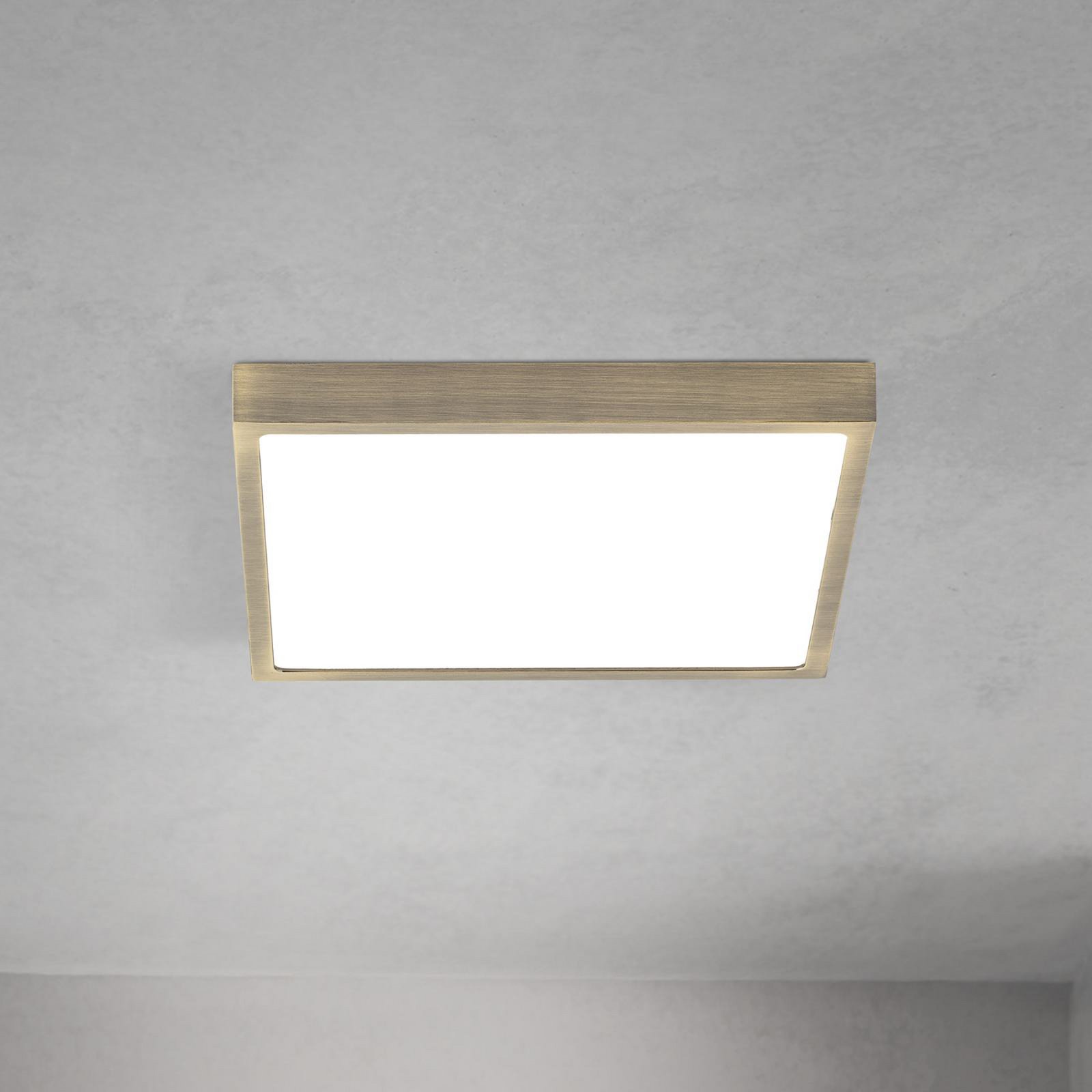 LED ceiling lamp Disc, antique brass colour, length 24 cm, CCT