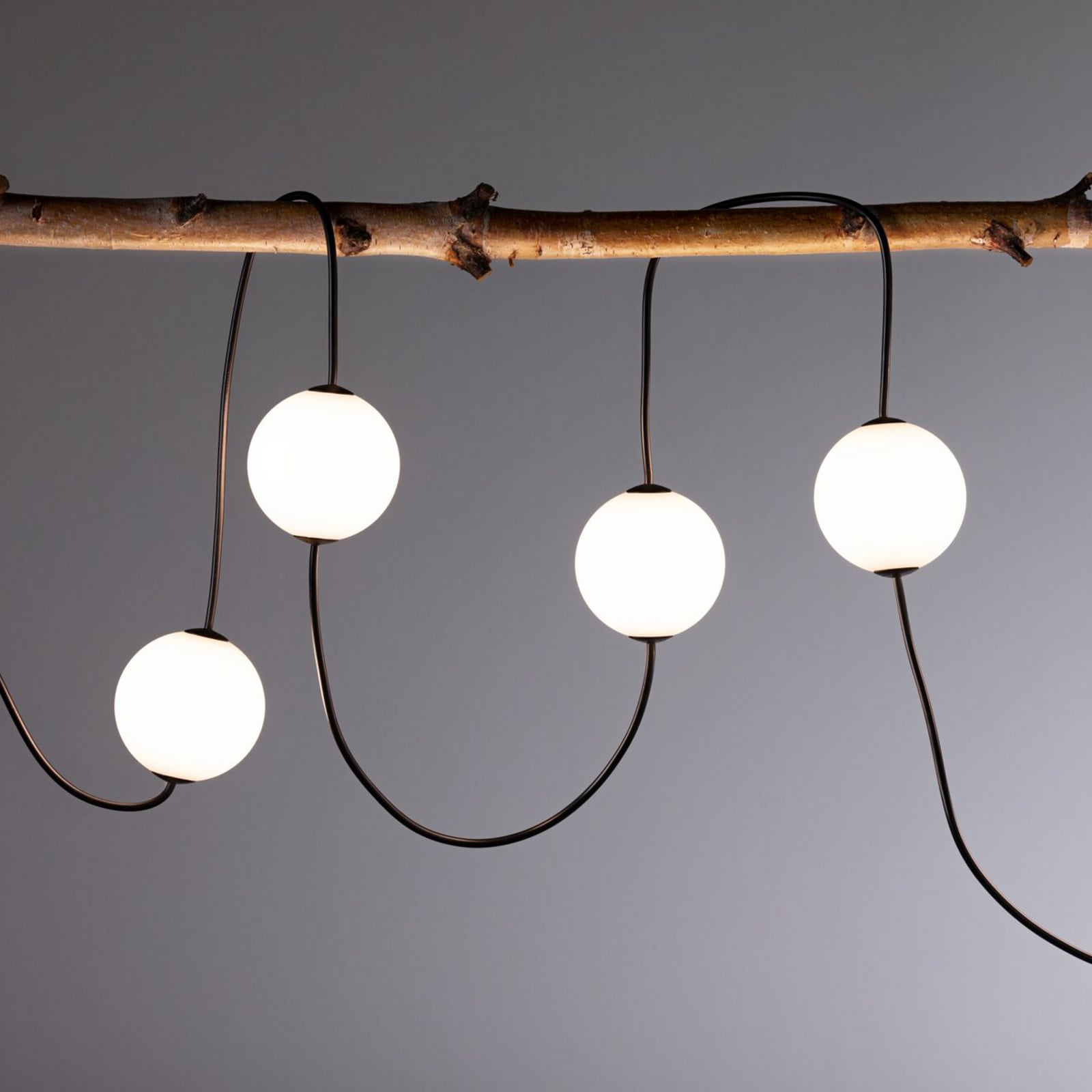 Guirlande lumineuse LED Paulmann Taina, rallonge de 2 m, IP67