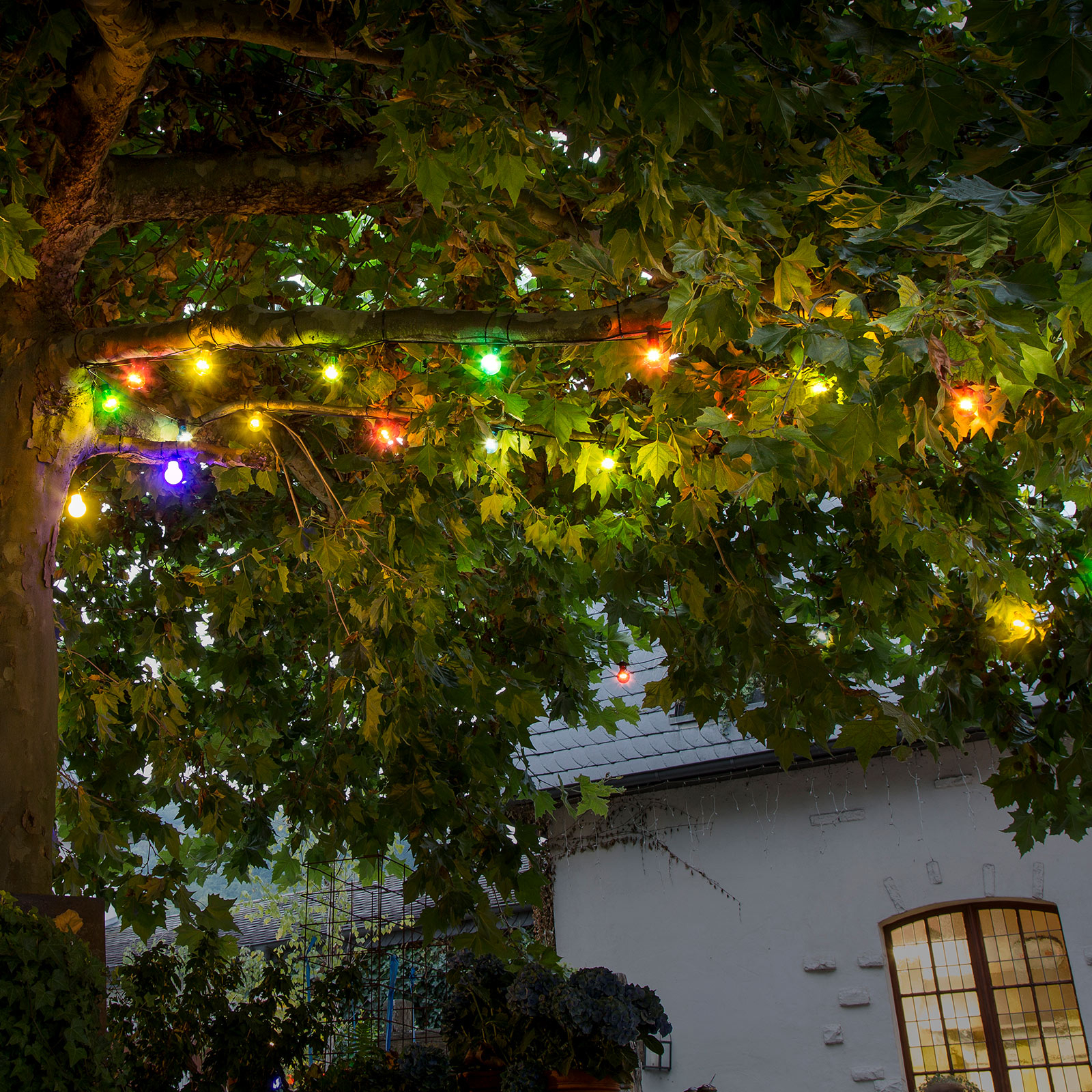 LED svetelná reťaz na predĺženie pivnej záhrady, farebná