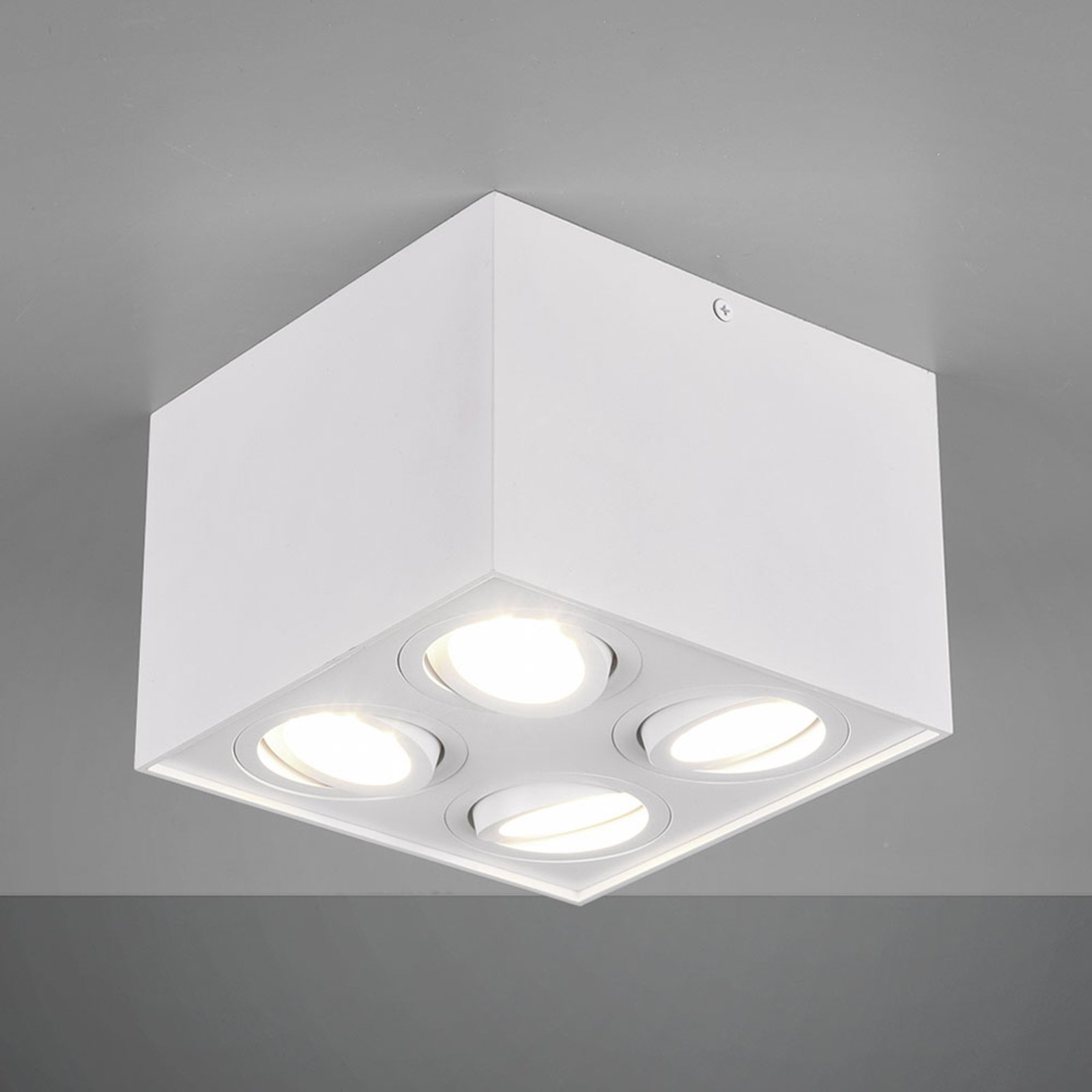 Lámpara de techo Biscuit, 4 luces, blanco