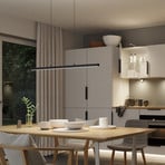 Paulmann Lento LED-Hängeleuchte ZigBee CCT dim