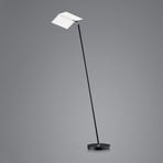 BANKAMP Book 2.0 lampadaire LED, ZigBee, noir