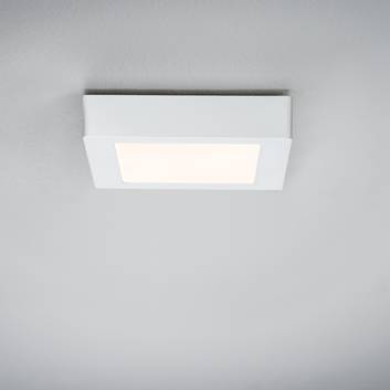 Uitdrukkelijk Vegetatie Carry LED paneel dimbaar en opbouw | Lampen24.nl