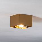 Spot pour plafond Riesta, doré, à 1 lampe