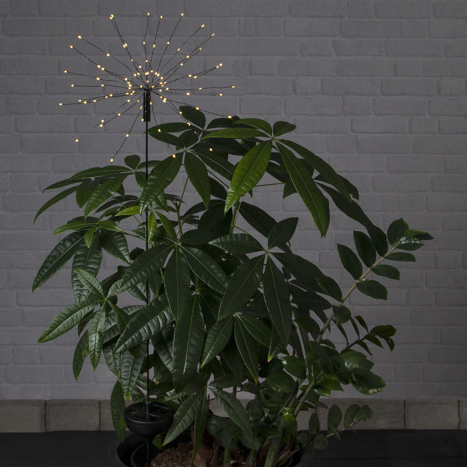 LED-solcellslampa Firework med markspett 100 cm