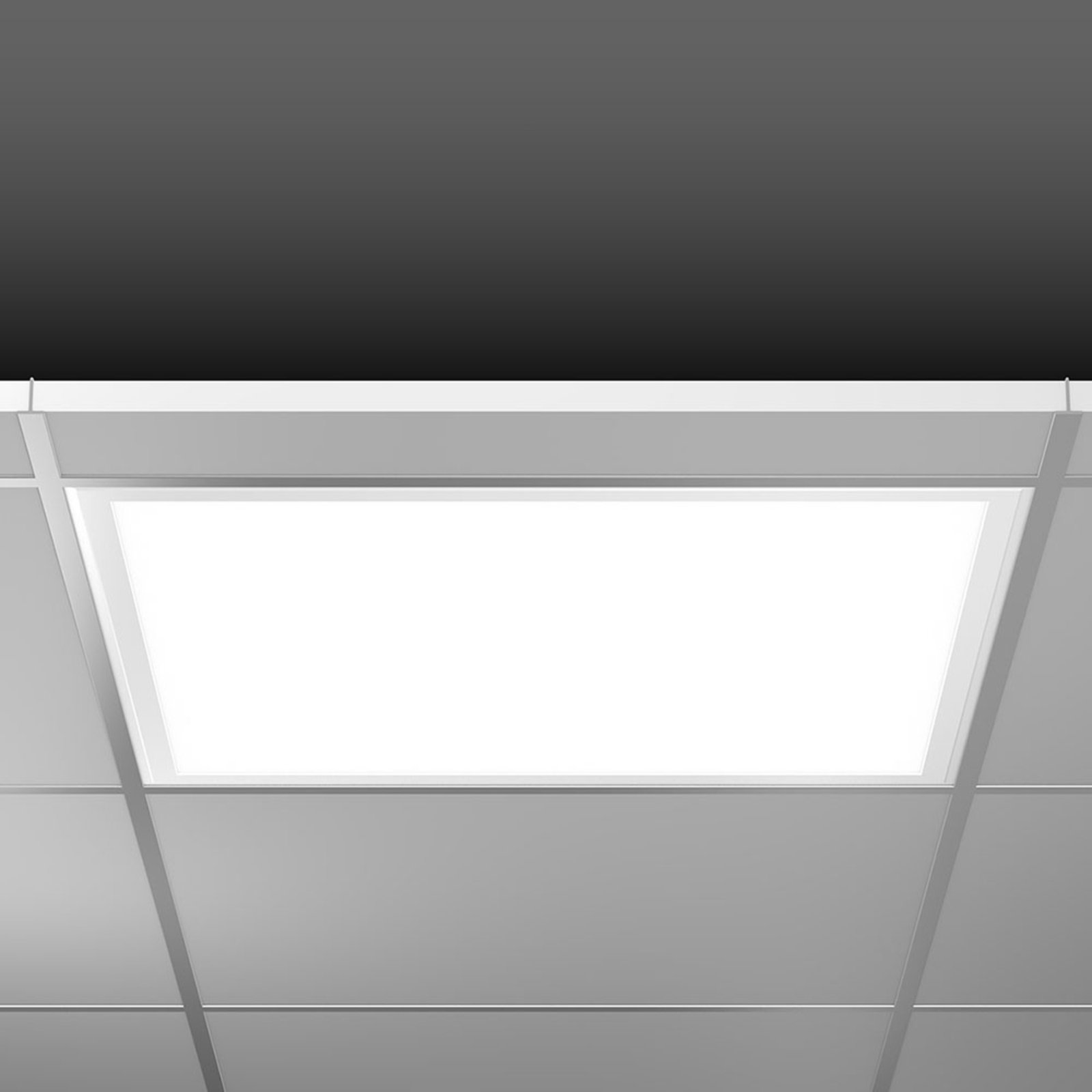 RZB Sidelite Eco LED-panel DALI 62,2cm 29W 830