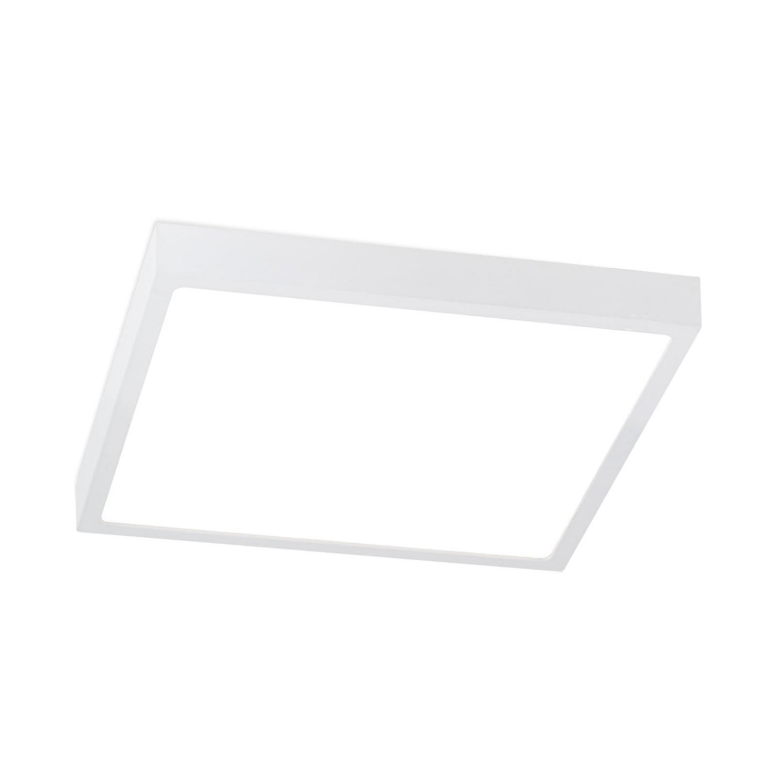 LED ceiling lamp Disc, white, length 24 cm, CCT, metal