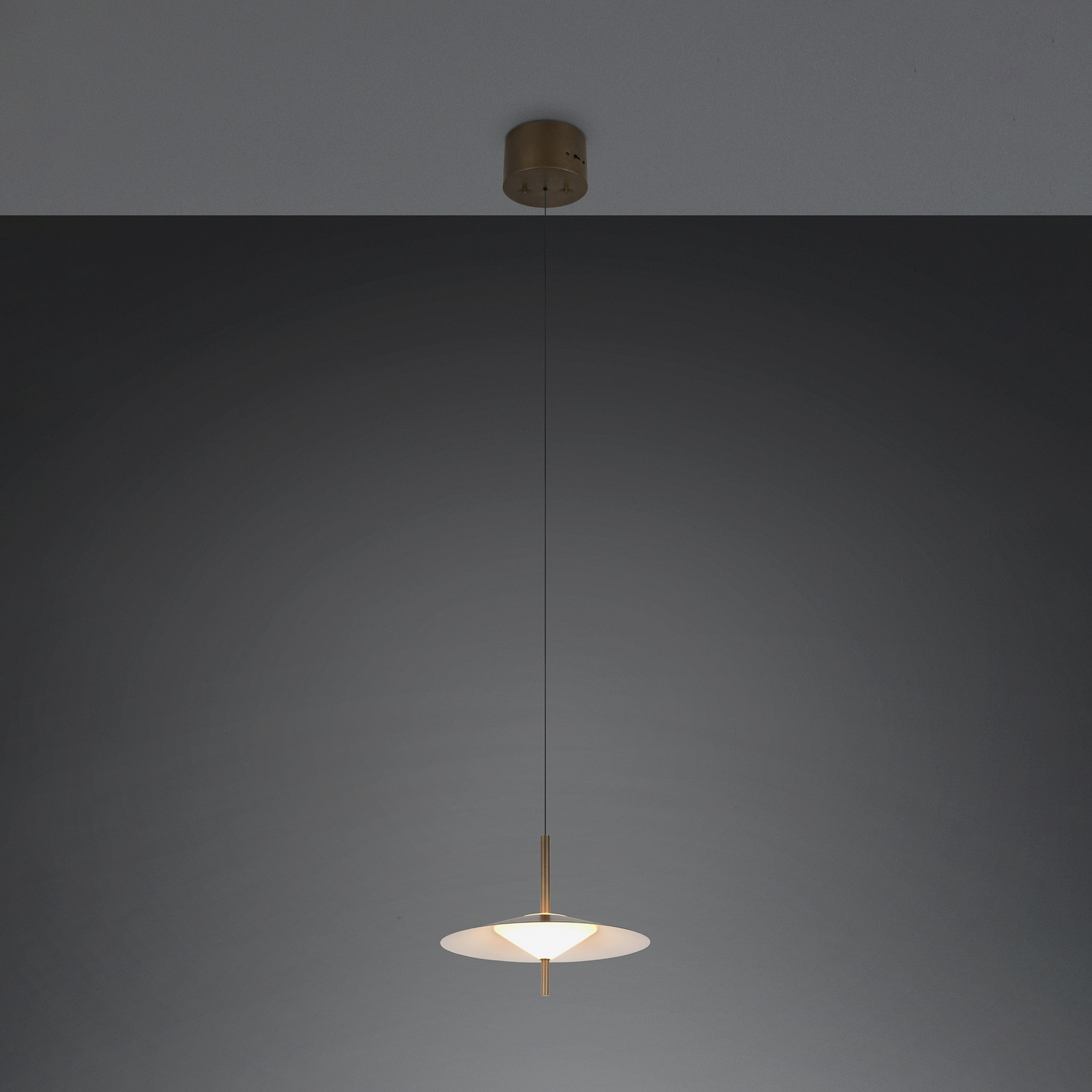 Trio Lighting LED висяща лампа „Амало“, платинен цвят, Ø 30 см, метал, CCT