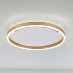 LED ceiling light Ritus, Ø 39.3cm matt brass