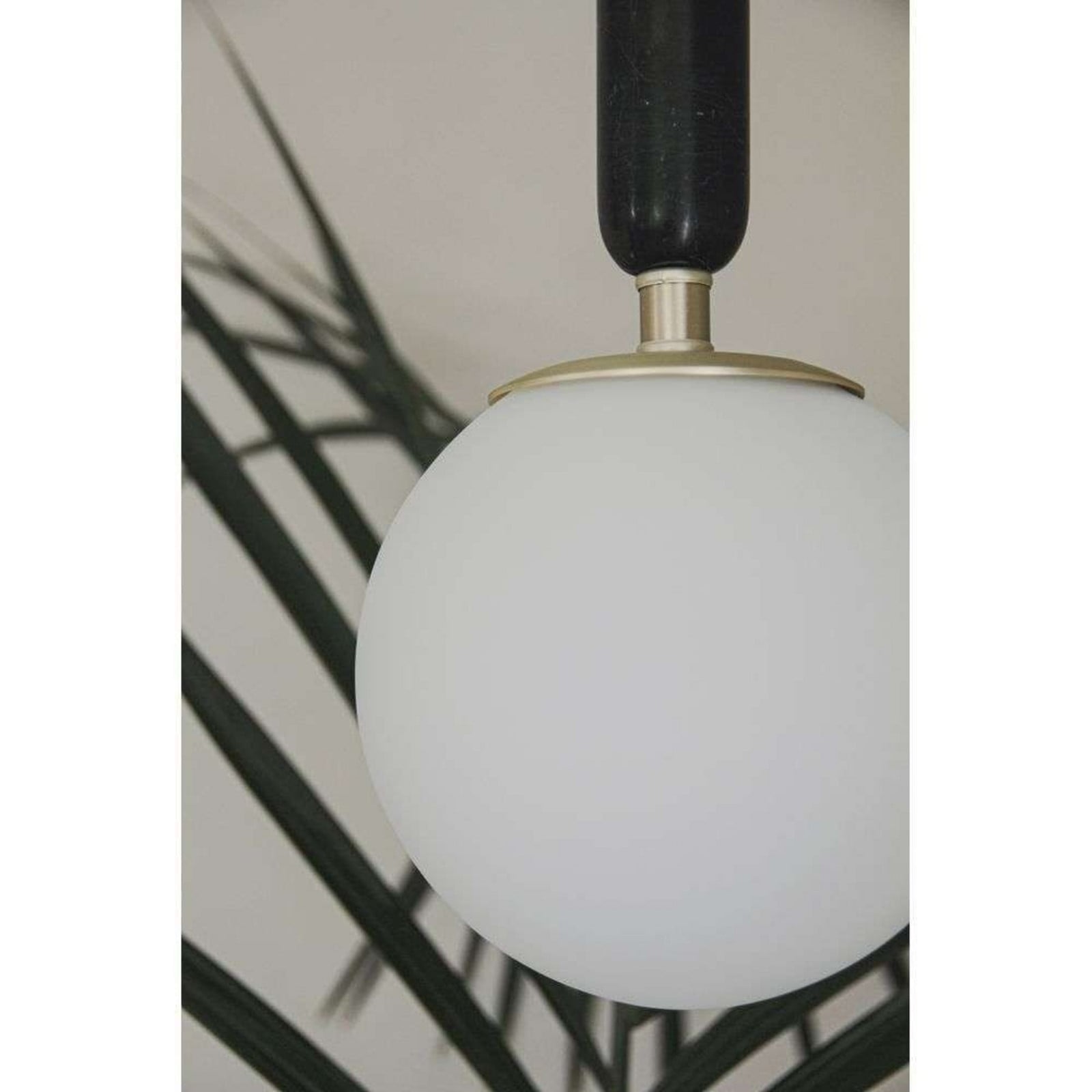 Torrano 15 Taklampa Svart Globen Lighting - Matsal - Glas
