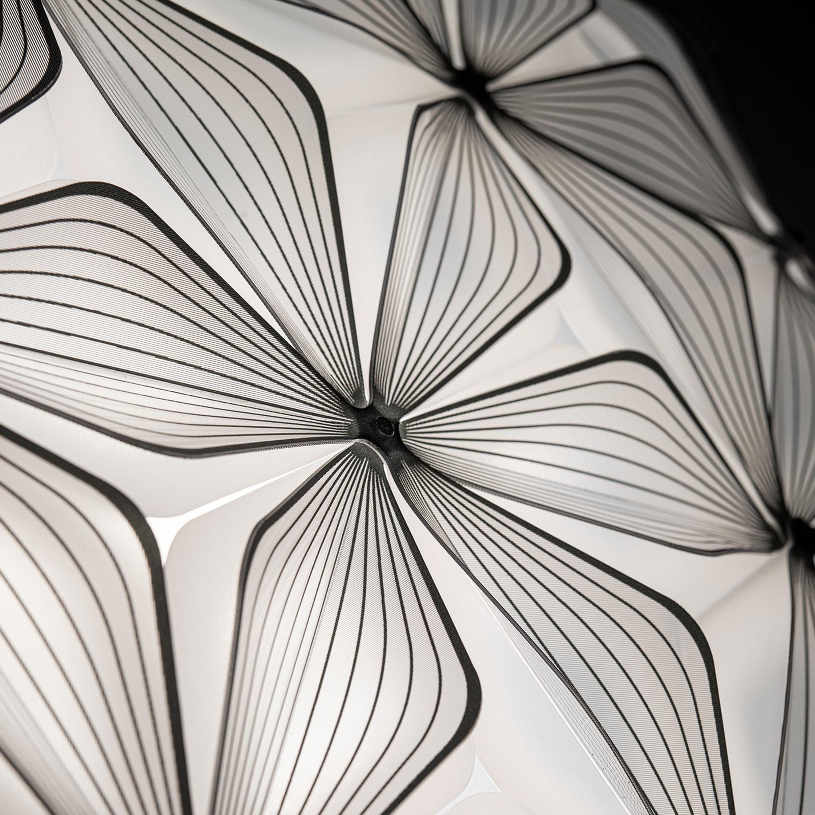 C'EST LA VIE Deckenlampe, schwarz, Ø 47 cm, 2-flg. - Slamp C'EST LA VIE Deckenlampe, schwarz, Ø 47 cm, 2-flg. - Slamp