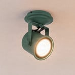 Plafondspot Canico, 1-lamp, groen
