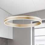 Paul Neuhaus Q-VITO suspension LED, 1 anneau