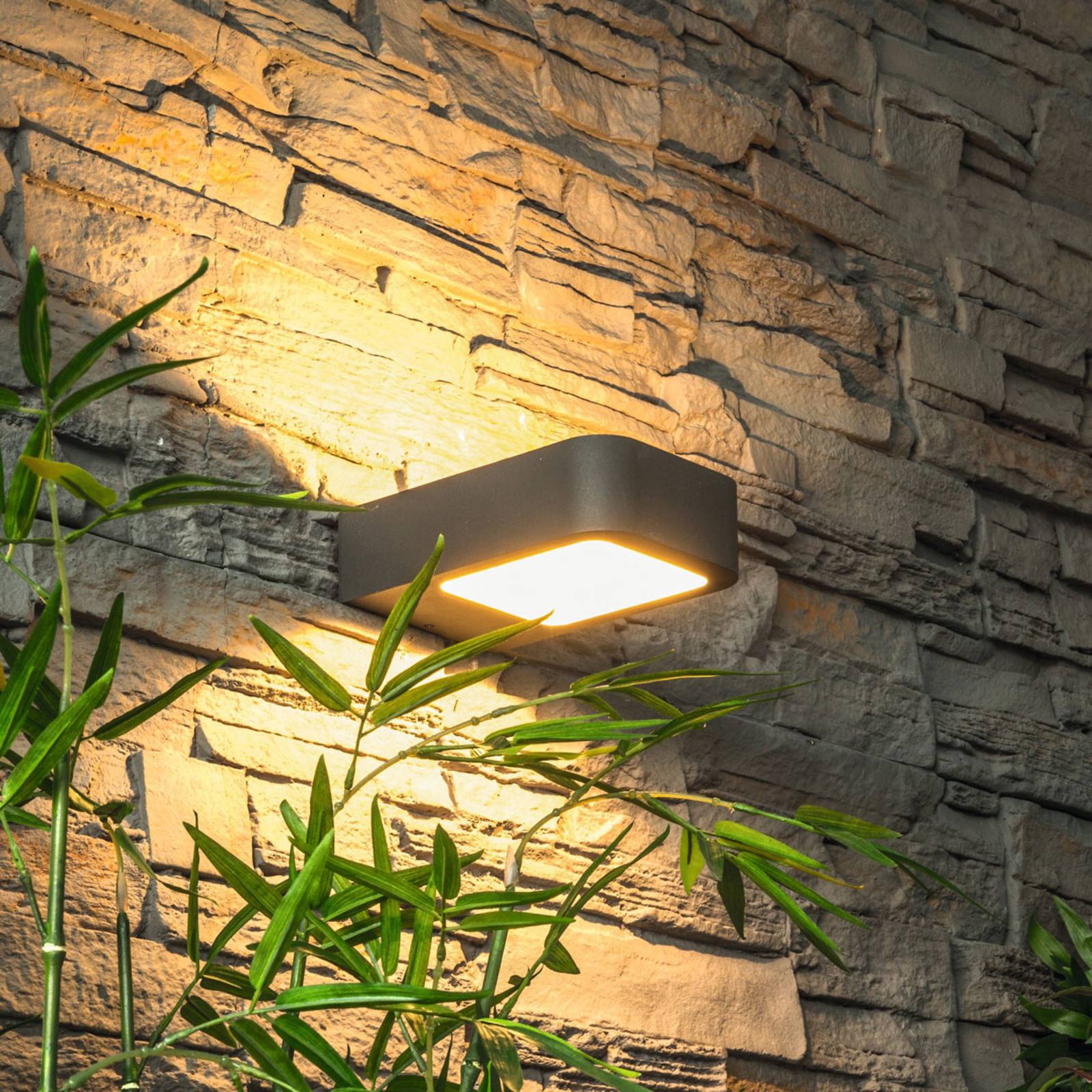 Heitronic Applique LED moderne Juna pour l’extérieur