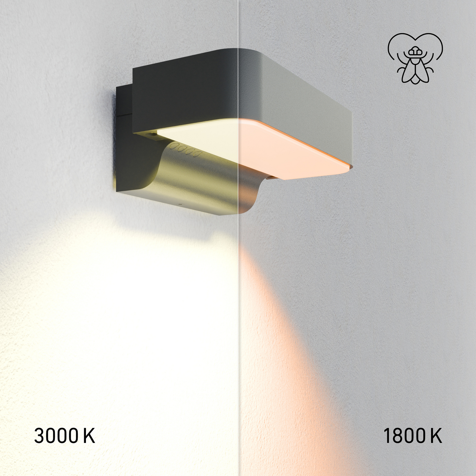 STEINEL applique da esterni LED con sensore L 800 SC, antracite IP44