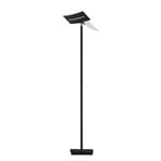 LED-golvlampa Evolo, CCT, svart