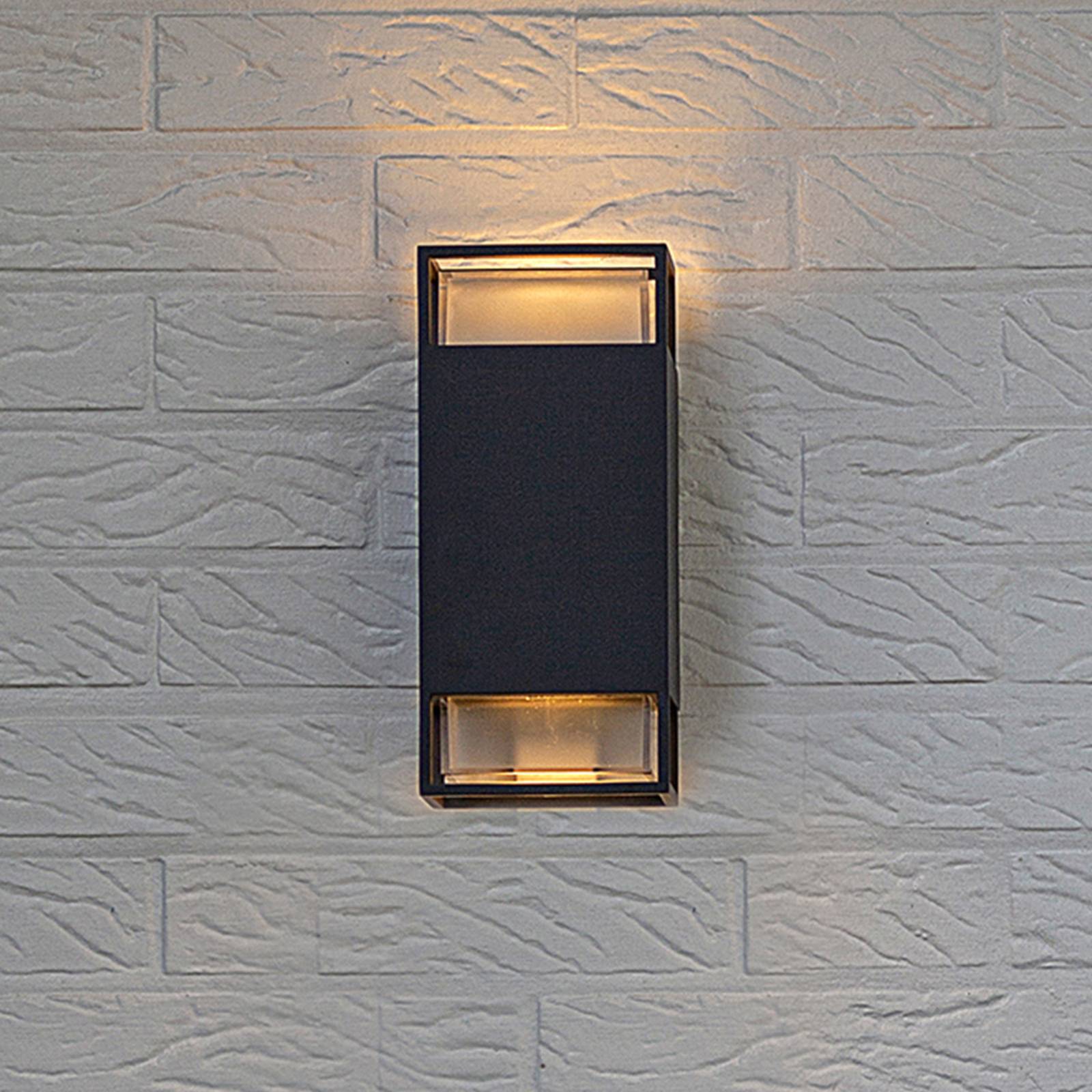 Photos - Floodlight / Street Light Lutec Ridge outdoor wall light up and down 