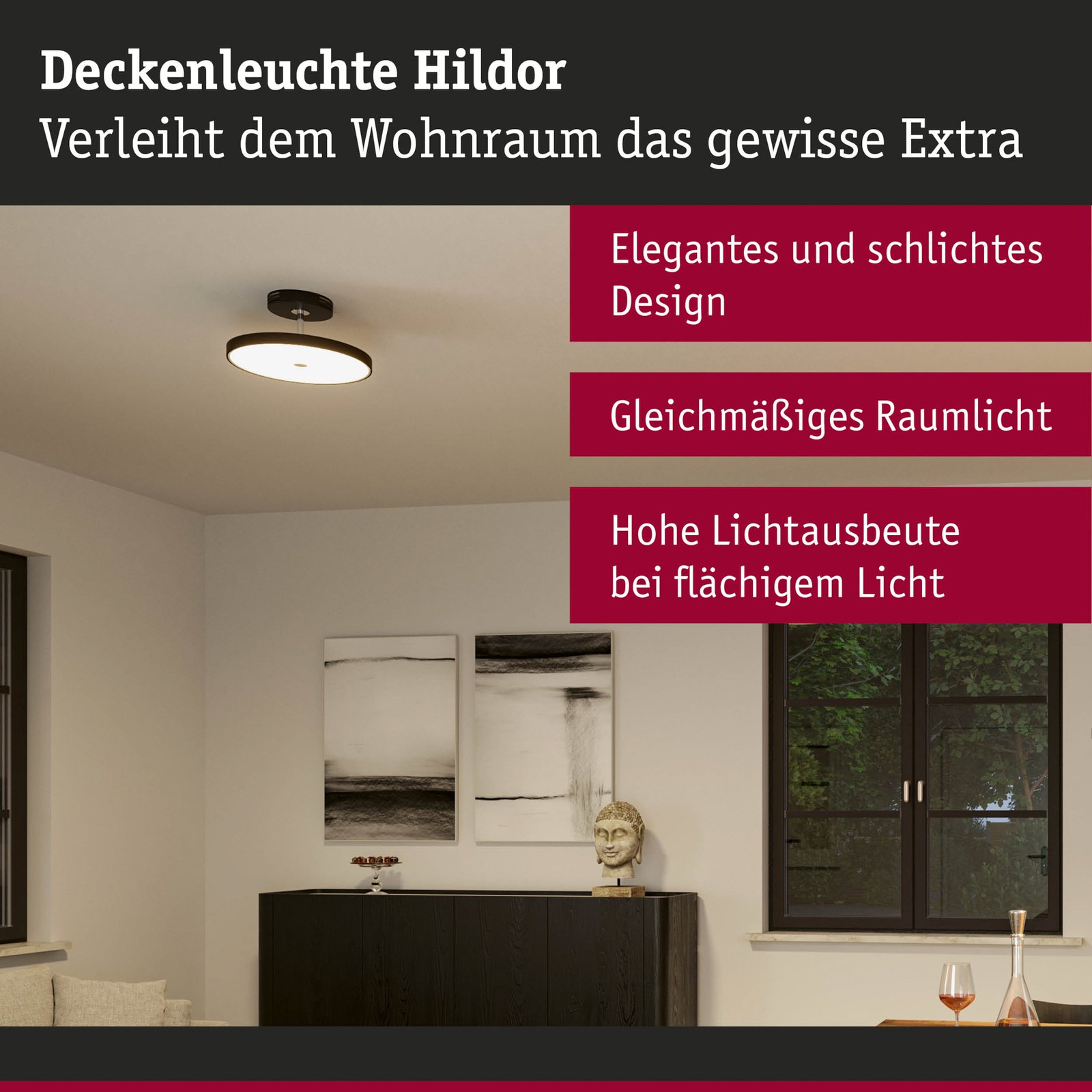 Hildor LED Stropní Lampa Zigbee Dim. Matt Černá - Paulmann