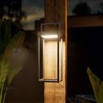 Numove LED-solcellelampe, grafittgrå, høyde 32,5 cm