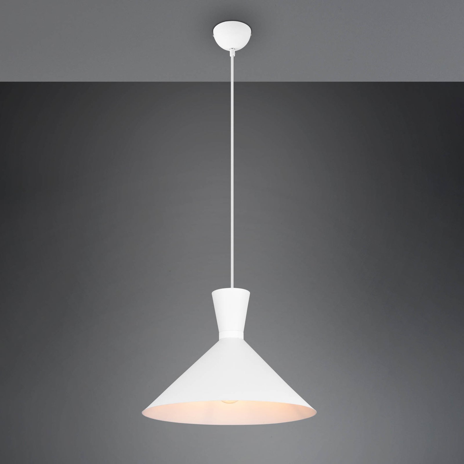 Enzo pendant light, one-bulb