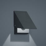 Helestra Free LED outdoor wall lamp graphite