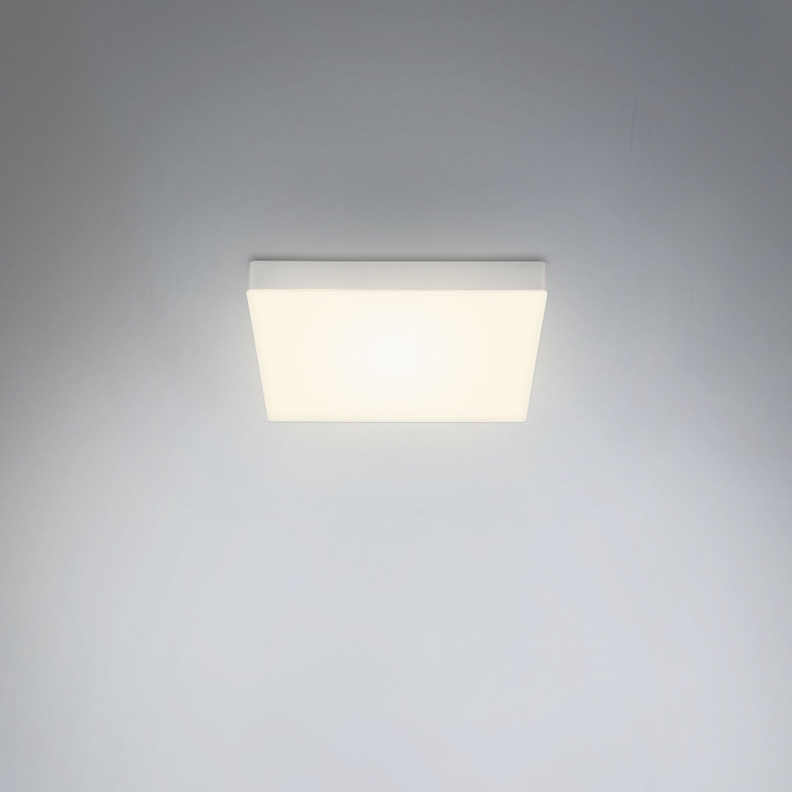 Plafonnier LED Flame, 21,2 x 21,2 cm, argenté