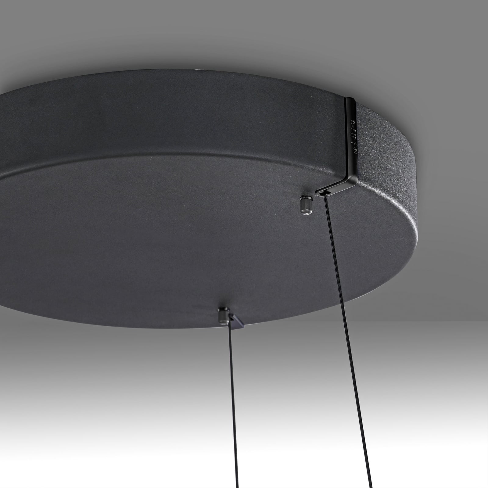 E-Loop LED-Hängelampe oak/black pearl, Ø70cm Alu, CCT - PURE E-Loop LED-Hängelampe oak/black pearl, Ø70cm Alu, CCT - PURE