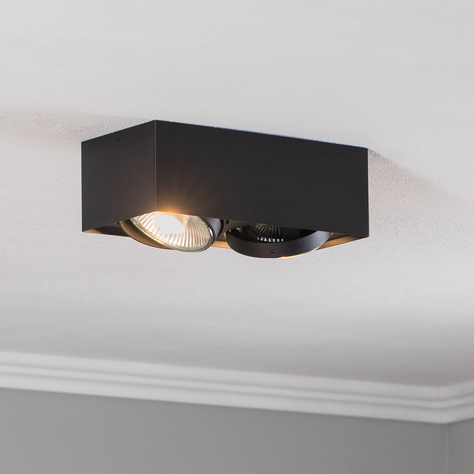 Argon Spot pour plafond Ronda à 2 lampes noir