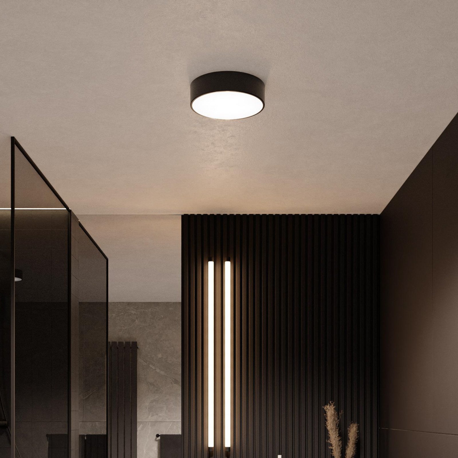TEMAR LIGHTING Plafonieră Cleo Ø 20 cm IP54 negru metal E27 - Baie