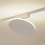 Lindby LED track light Lumaro, white, aluminium, 48V, dimmable