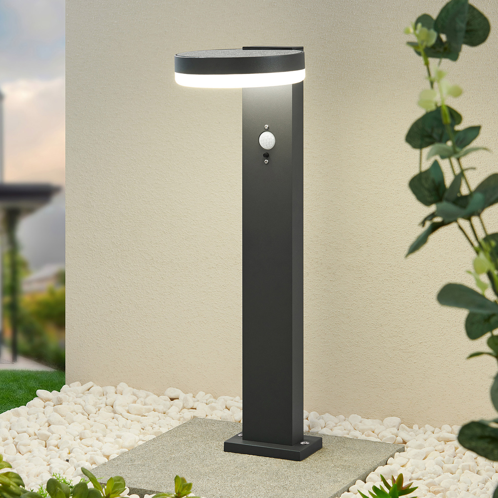 Lindby Eireen lampioncino LED solare, 50 cm